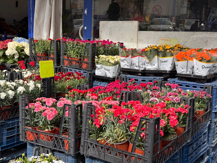 Outdoor display of various potted flowering plants, including pink and red carnations, white hydrangeas, and yellow and orange marigolds, arranged on black plastic crates in front of a florist shop. T