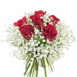 With a style as graceful as the leafy avenues of De Beauvoir Town, this hand-crafted bouquet presents an enchanting fusion of romance and elegance. At its core, six radiant crimson roses rise in full bloom, their plush petals spiraling outwards, illuminated by gentle natural light. Interlaced throughout the bouquet is a profusion of delicate white baby's breath, forming a dreamy, cloud-like veil around each fiery rose. The contrast is both striking and soft, mirroring the tranquil yet vibrant atmosphere of De Beauvoir canals and their timeless bridges. Down below, the bouquet's stems present a rich palette of fresh greens, tightly bound and signifying craftsmanship typical of the best local florists. The entire arrangement radiates freshness as if gathered from an early morning market by the Regent's Canal. Cool whites and passionate reds invite both the eyes and heart to linger; one can almost sense the enticing fragrance of roses drifting through the open windows of a De Beauvoir townhouse. This bouquet, ideal for heartfelt occasions and significant milestones, is a visual and sensory celebration of artistry rooted in the neighbourhood's spirit.