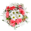 Overflowing with lively warmth, this bouquet sparkles with the character of De Beauvoir Town. Bright white daisies with lively green centers draw attention at the core, nestled among a generous scattering of coral-pink, ruffled carnations. Whisper-light sprays of baby's breath twist delicately through the display, casting an airy, celebratory feel that recalls gatherings on De Beauvoir Square in springtime. Hints of purple and rose-laced alstroemeria buds appear between the greens, suggesting both new beginnings and the layer of care that goes into each arrangement. The bouquet is completed by cool silvery eucalyptus and structured greenery, wrapping the florals with a sense of natural abundance reminiscent of canal-side walks. Whether chosen as a joyful birthday gift, a special thank you, or simply to brighten the home of a neighbour along Southgate Road, the bouquet embodies the artistic dedication and sense of community cultivated by De Beauvoir Town's local florists.